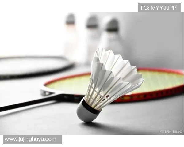 羽毛球新手必看：提升耐力的全面入门攻略与训练方法